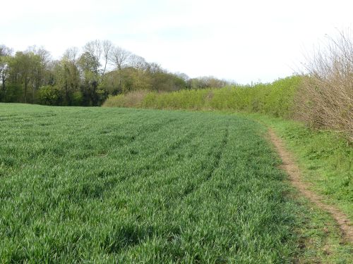 Bridleway from Alledge Brook