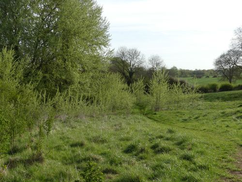 Bridleway to Alledge Brook