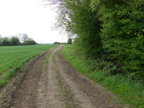 Footpath not bridleway