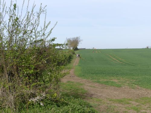 Farm track but no legal right of way